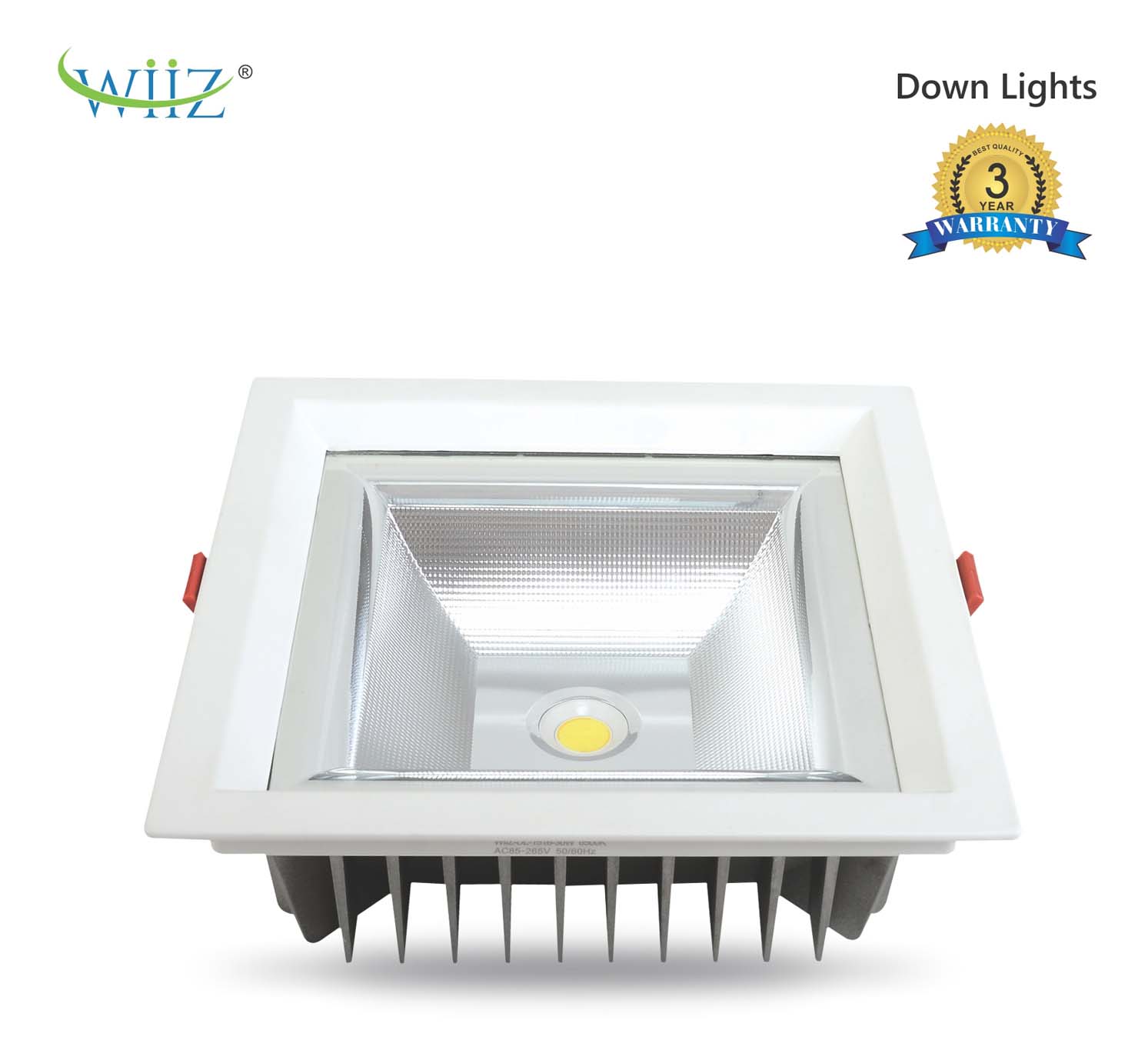 Wiiz Down Light 1